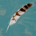 Jewelry Showcase logo